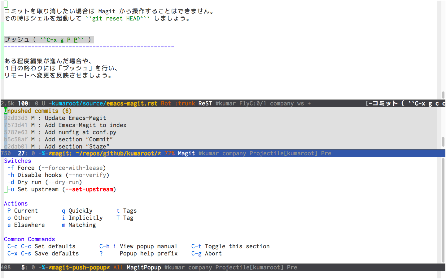 ../../_images/magit-push.png