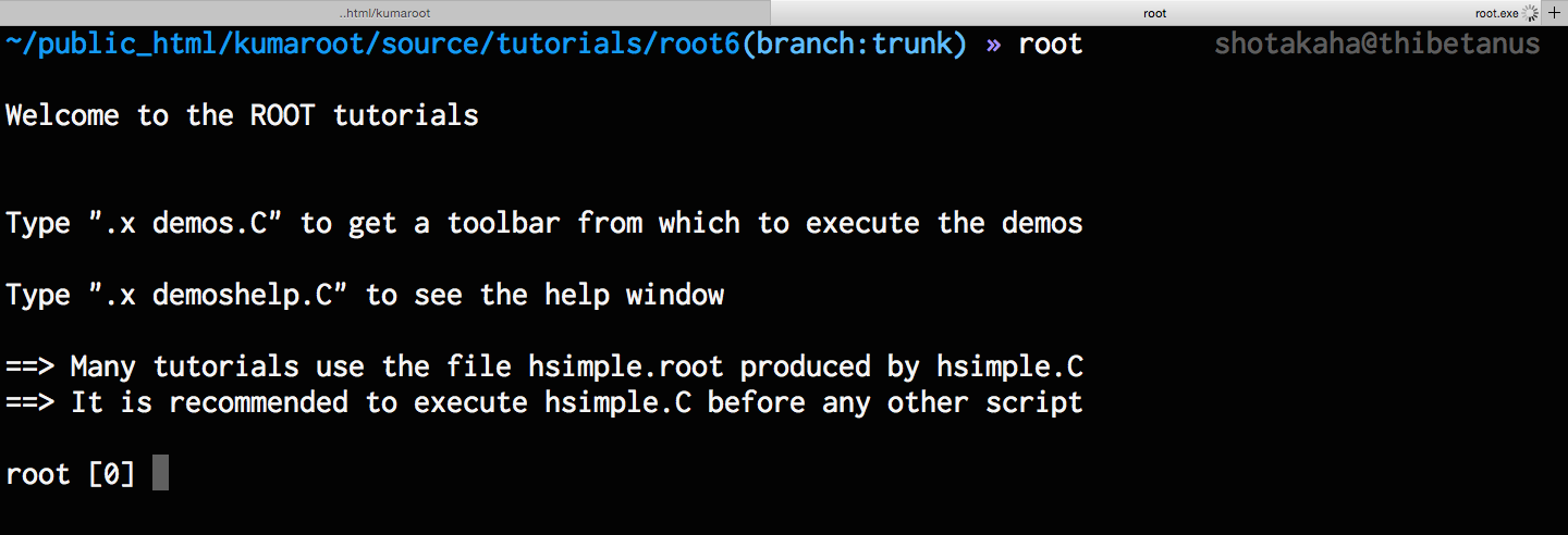 ../../_images/root-start.png